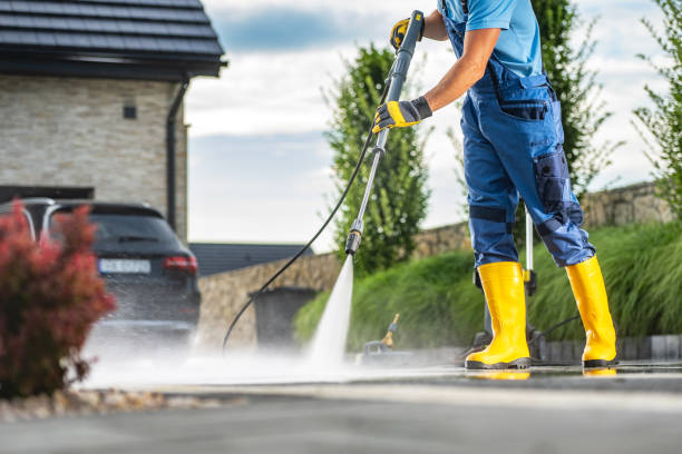 Animal Enclosure Cleaning in Revere, MA